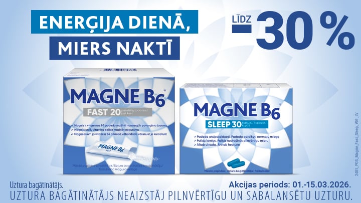 202603 MAGNE B6