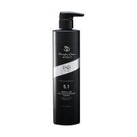 5.1 DSD de Luxe Šampūns bojātas matu struktūras atjaunošanai 500 ml