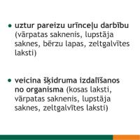 FITOLIZYNA Nefrocaps Plus kapsulas N30