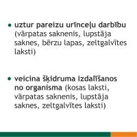 FITOLIZYNA Nefrocaps Plus kapsulas N30