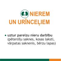 FITOLIZYNA Nefrocaps Plus kapsulas N30