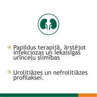 FITOLIZYN pasta iekšķīgai lietošanai 100g