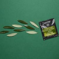 APIVITA EXPRESS BEAUTY sejas skrubis ar olīvām 2 x 8 ml