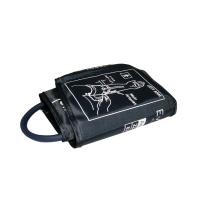 EVOLU Intelligent 800B19L asinsspiediena mērītājs N1