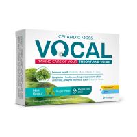 VOCAL ar piparmētru garšu sūkājamās pastilas N24