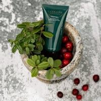 LABRAINS CLEANSEA SKIN PERFECTING Ādu uzlabojoša sejas pīlinga maska 50 ml