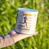 ICONFIT Joint Collagen-apelsīns, pulveris 300g