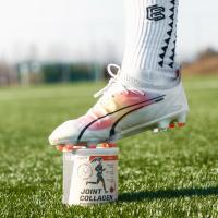 ICONFIT Joint Collagen-ķirsis, pulveris 300g