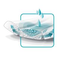 DAILEE Pant Premium Plus higiēniskās biksītes L N15