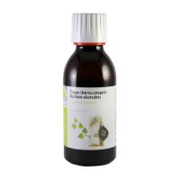 GREENICE Čagas (bērzu piepes) šķidrais ekstrakts 150ml