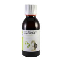 GREENICE Čagas (bērzu piepes) šķidrais ekstrakts 150ml