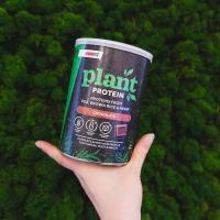ICONFIT Plant Protein ar šokalādes garšu pulveris 480g