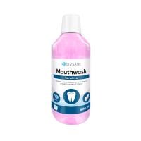 LIVSANE Sensitive mutes skalojamais līdzeklis 500ml