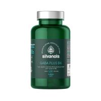 SILVANOLS Gaba Plus B6 kapsulas N90