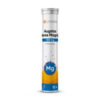 LIVSANE Augstas devas Magnijs 500 mg ar laima garšu šķīstošās tabletes N12