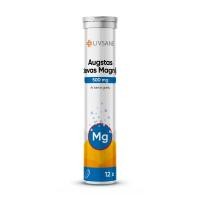 LIVSANE Augstas devas Magnijs 500 mg ar laima garšu šķīstošās tabletes N12