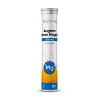 LIVSANE Augstas devas Magnijs 500 mg ar laima garšu šķīstošās tabletes N12