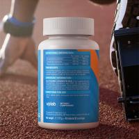 VPLAB Glucosamine Chondroitin MSM tabletes N90