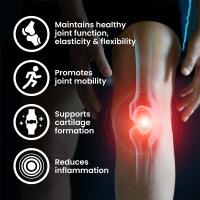 VPLAB Glucosamine Chondroitin MSM tabletes N90