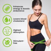 VPLAB L-Carnitine Concentrate Cherry-Blueberry šķidrums 500ml