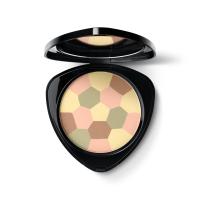 DR. HAUSCHKA Sejas toni koriģējošais pūderis 00 Translucent 8g