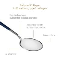 BALLSTAD laša kolagēns pulveris (uzpildes iepakojums) 160g