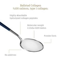 BALLSTAD laša kolagēns pulveris (uzpildes iepakojums) 160g