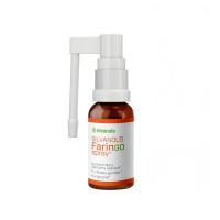 FARINGOSPRAY Silvanols aerosols 20ml