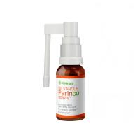 FARINGOSPRAY Silvanols aerosols 20ml