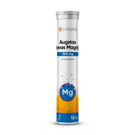 LIVSANE Augstas devas Magnijs 500 mg ar laima garšu šķīstošās tabletes N12