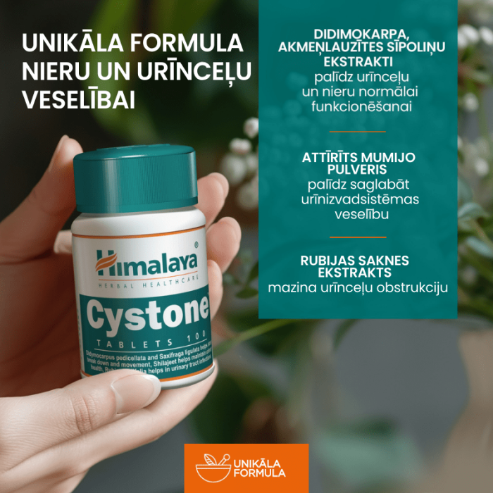 HIMALAYA Cystone™ tabletes N100