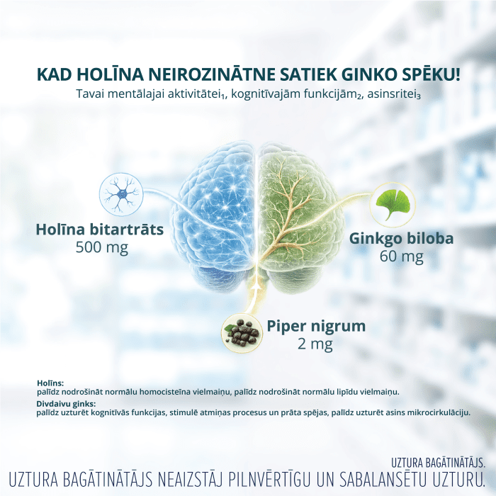 DEMATSYT CHOLINE kapulas N30