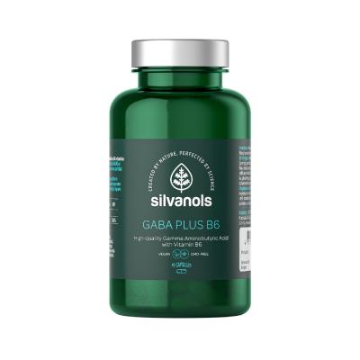 SILVANOLS Gaba Plus B6 kapsulas N90