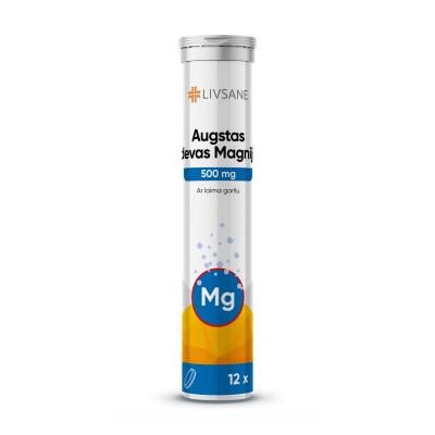 LIVSANE Augstas devas Magnijs 500 mg ar laima garšu šķīstošās tabletes N12