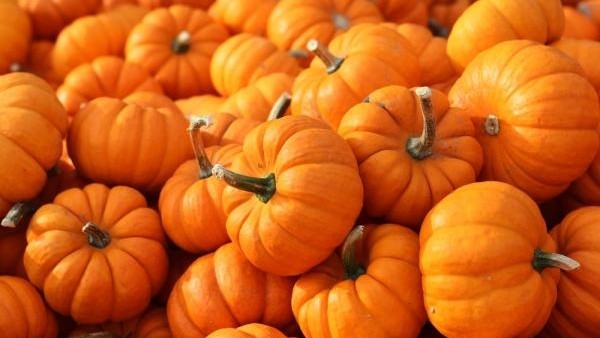 Kas slēpjas Halovīna karalī – ķirbī?