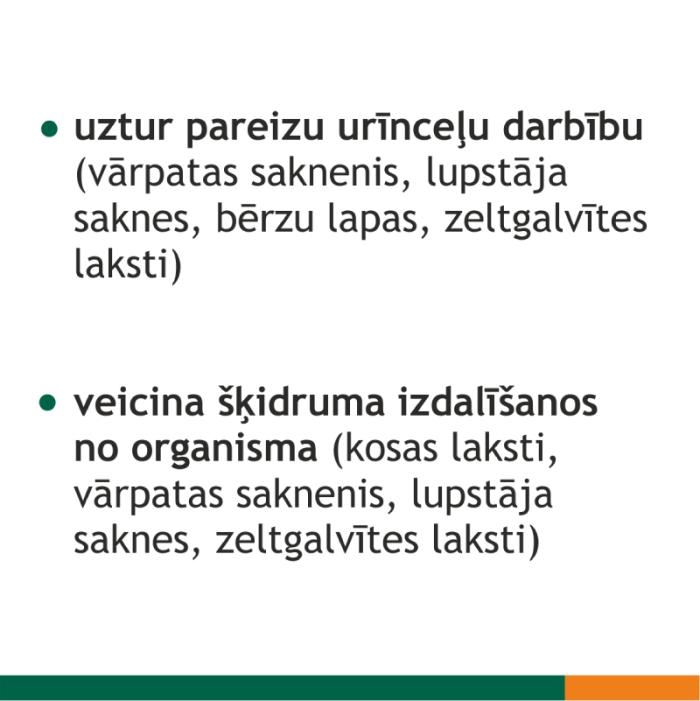 FITOLIZYNA Nefrocaps Plus kapsulas N30