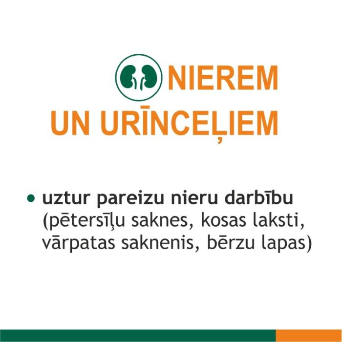 FITOLIZYNA Nefrocaps Plus kapsulas N30