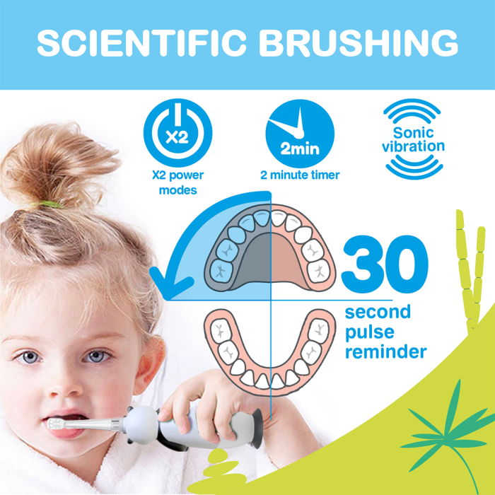 BRUSH BABY Wildones uzlādējama elektriskā zobu birste Panda 0-10 g.