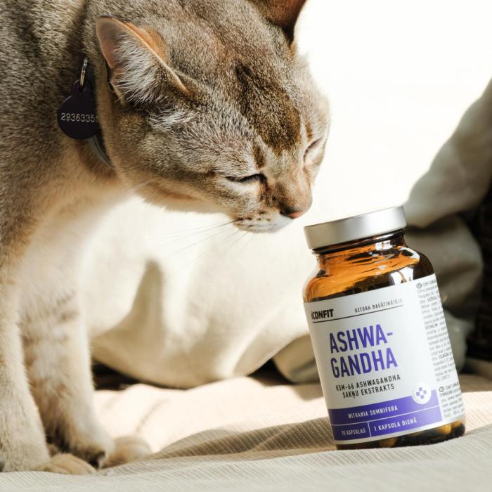 ICONFIT Ashwagandha kapsulas N90