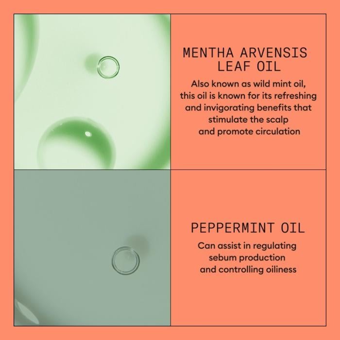 NIOXIN System 4 krāsotiem matiem ar progresējošu tendenci kļūt plānākiem, komplekts 150ml+150ml+40ml