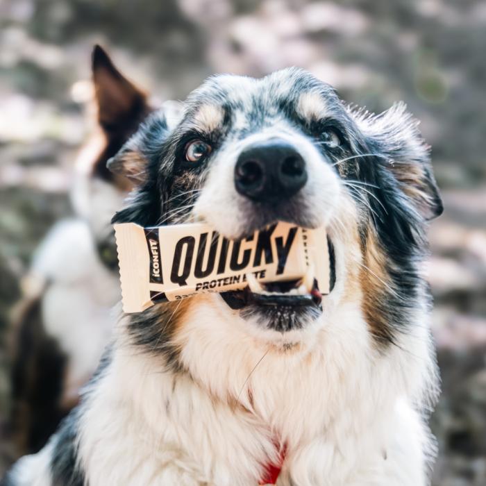 ICONFIT Quicky Protein Bite zemesriekstu proteīna batoniņš 35 g