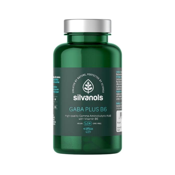 SILVANOLS Gaba Plus B6 kapsulas N90