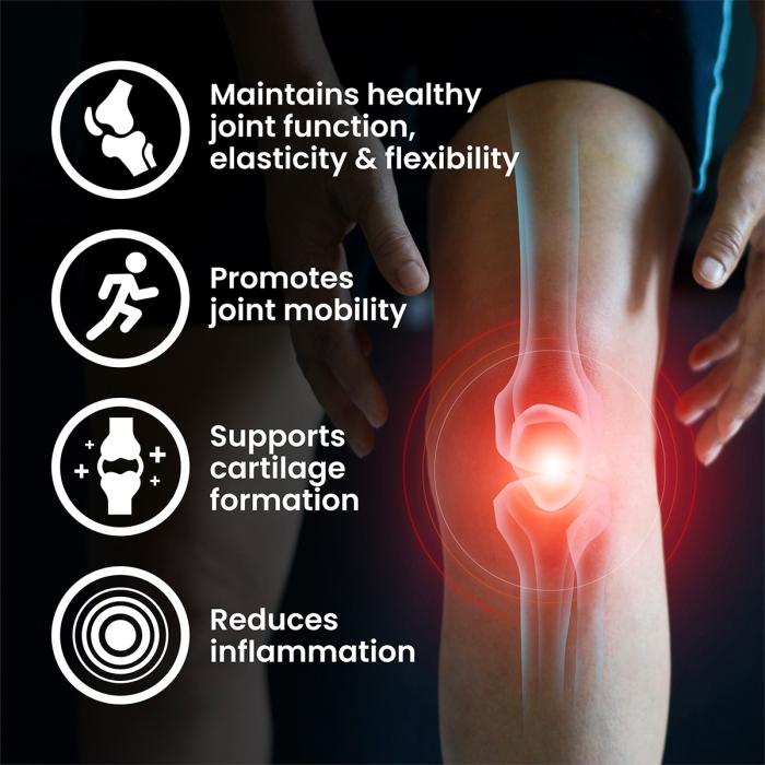 VPLAB Glucosamine Chondroitin MSM tabletes N90