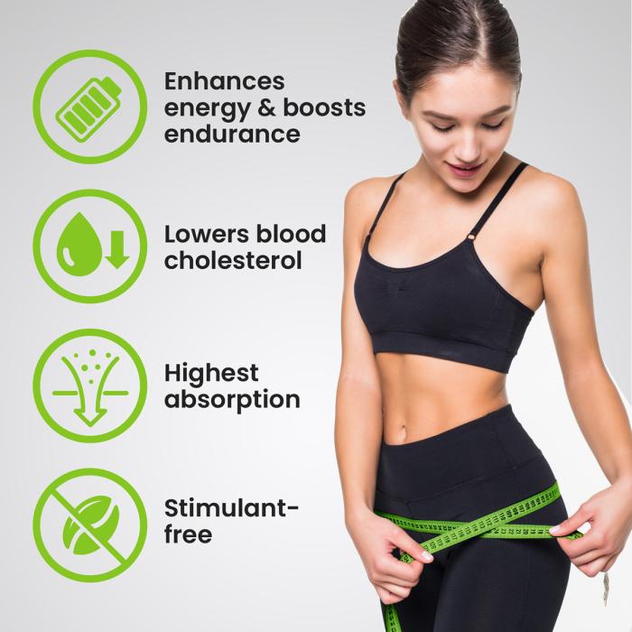 VPLAB L-Carnitine Concentrate Cherry-Blueberry šķidrums 500ml