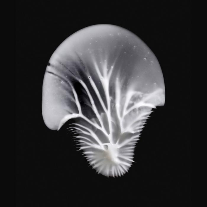 MADARA Age Pro Contour Wrinkle acu krēms 15ml