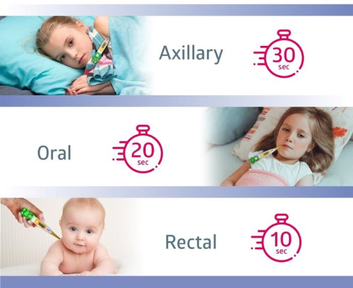 B.WELL PRO-06 digitālais termometrs Varde N1