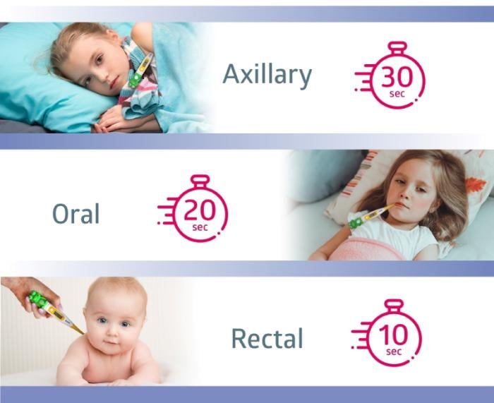 B.WELL PRO-06 digitālais termometrs Varde N1