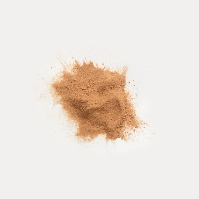 DR. HAUSCHKA attīroša mālu maska 90 g
