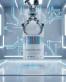 VP LABORATORY Absolute Joint pulveris 400g
