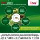 ILON ziede 25g